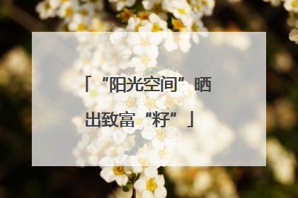 “阳光空间”晒出致富“籽”