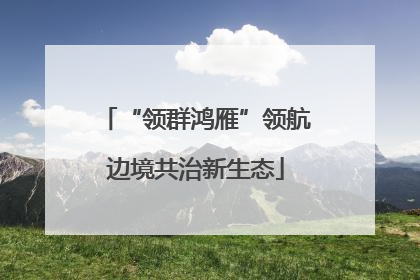 “领群鸿雁”领航边境共治新生态