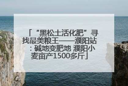 “黑松土活化肥”寻找最美粮王——濮阳站：碱地变肥地 濮阳小麦亩产1500多斤