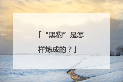 “黑豹”是怎样炼成的？