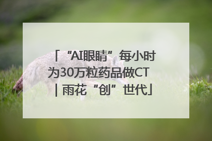 “AI眼睛”每小时为30万粒药品做CT｜雨花“创”世代