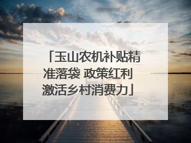 玉山农机补贴精准落袋 政策红利激活乡村消费力