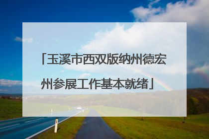 玉溪市西双版纳州德宏州参展工作基本就绪