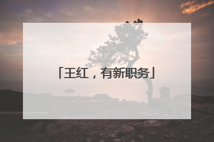 王红，有新职务