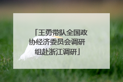 王勇带队全国政协经济委员会调研组赴浙江调研