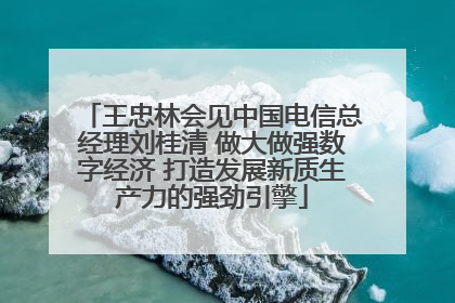 王忠林会见中国电信总经理刘桂清 做大做强数字经济 打造发展新质生产力的强劲引擎