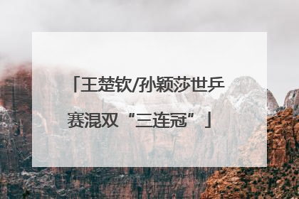 王楚钦/孙颖莎世乒赛混双“三连冠”