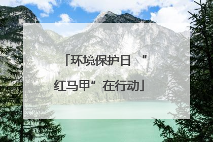 环境保护日 “红马甲”在行动