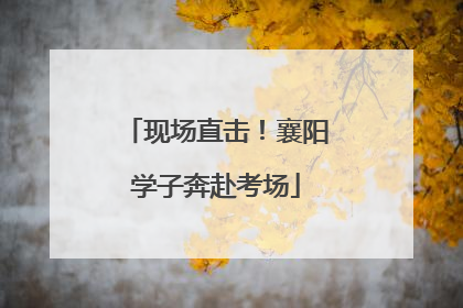 现场直击！襄阳学子奔赴考场