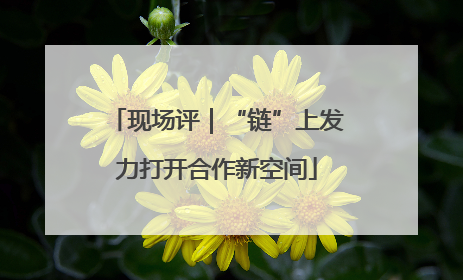 现场评｜“链”上发力打开合作新空间