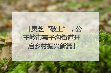 灵芝“破土”，公主岭市苇子沟街道开启乡村振兴新篇