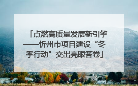 点燃高质量发展新引擎——忻州市项目建设“冬季行动”交出亮眼答卷