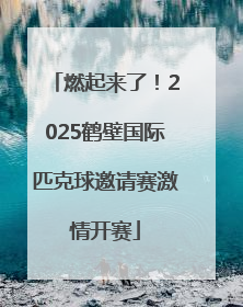 燃起来了！2025鹤壁国际匹克球邀请赛激情开赛