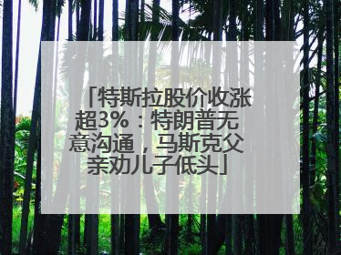 特斯拉股价收涨超3%：特朗普无意沟通，马斯克父亲劝儿子低头