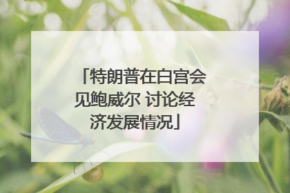 特朗普在白宫会见鲍威尔 讨论经济发展情况