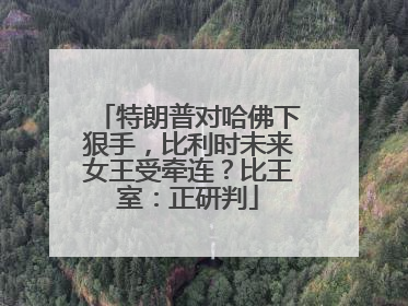 特朗普对哈佛下狠手，比利时未来女王受牵连？比王室：正研判