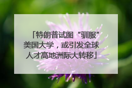 特朗普试图“驯服”美国大学，或引发全球人才高地洲际大转移