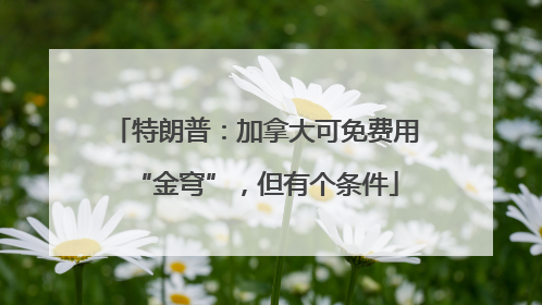 特朗普：加拿大可免费用“金穹”，但有个条件