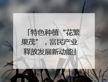 特色种植“花繁果茂”，富民产业释放发展新动能