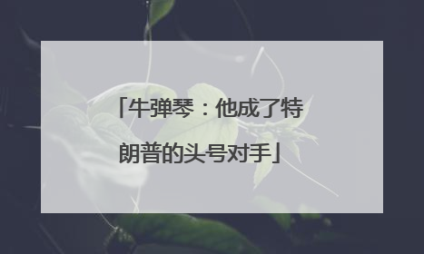 牛弹琴：他成了特朗普的头号对手