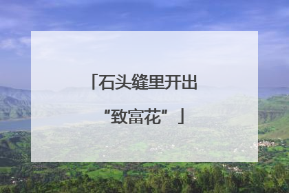 石头缝里开出“致富花”