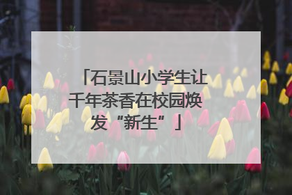 石景山小学生让千年茶香在校园焕发“新生”