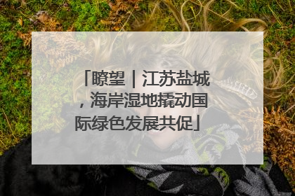 瞭望｜江苏盐城，海岸湿地撬动国际绿色发展共促
