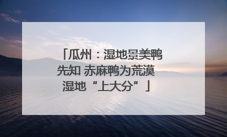 瓜州：湿地景美鸭先知 赤麻鸭为荒漠湿地“上大分”