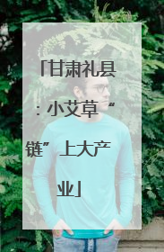 甘肃礼县：小艾草“链”上大产业