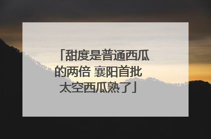 甜度是普通西瓜的两倍 襄阳首批太空西瓜熟了