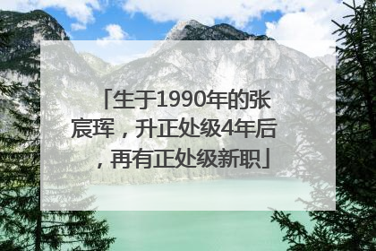 生于1990年的张宸珲，升正处级4年后，再有正处级新职