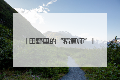田野里的“精算师”