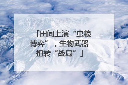 田间上演“虫粮博弈”，生物武器扭转“战局”