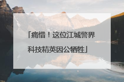 痛惜！这位江城警界科技精英因公牺牲