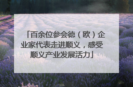 百余位参会德（欧）企业家代表走进顺义，感受顺义产业发展活力