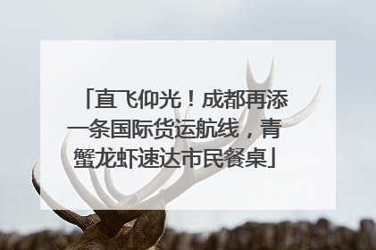 直飞仰光！成都再添一条国际货运航线，青蟹龙虾速达市民餐桌