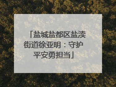 盐城盐都区盐渎街道徐亚明：守护平安勇担当