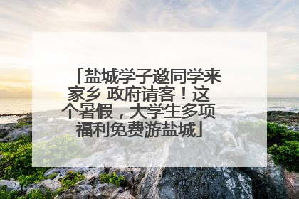 盐城学子邀同学来家乡 政府请客！这个暑假，大学生多项福利免费游盐城