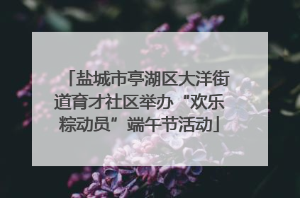 盐城市亭湖区大洋街道育才社区举办“欢乐粽动员”端午节活动