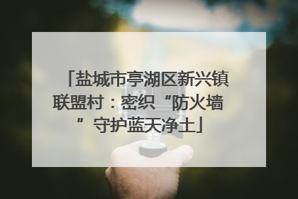 盐城市亭湖区新兴镇联盟村：密织“防火墙”守护蓝天净土