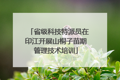 省级科技特派员在印江开展山桐子苗期管理技术培训