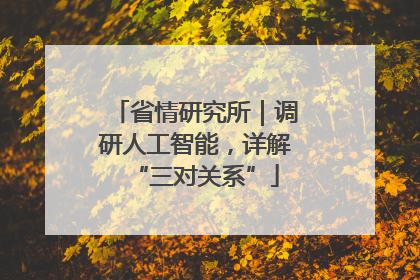 省情研究所｜调研人工智能，详解“三对关系”