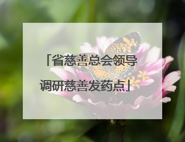 省慈善总会领导调研慈善发药点