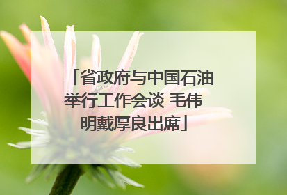 省政府与中国石油举行工作会谈 毛伟明戴厚良出席