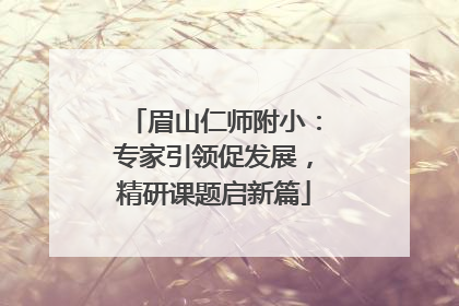 眉山仁师附小：专家引领促发展，精研课题启新篇