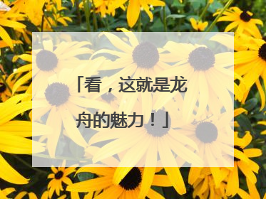 看，这就是龙舟的魅力！