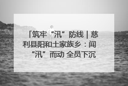 筑牢“汛”防线｜慈利县阳和土家族乡：闻“汛”而动 全员下沉筑牢防汛“安全堤”