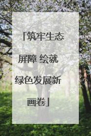 筑牢生态屏障 绘就绿色发展新画卷