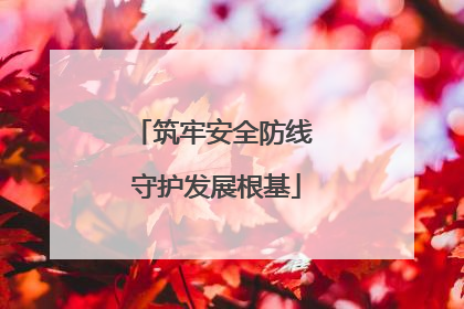 筑牢安全防线 守护发展根基