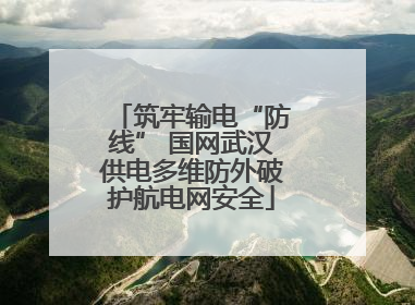 筑牢输电“防线” 国网武汉供电多维防外破护航电网安全